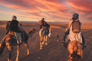 Zagora Desert: Multi-day Trips and Tours from Marrakesh
