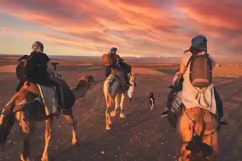 Da Marrakech: safari di 2 giorni nel deserto di Zagora con cibo e campeggio