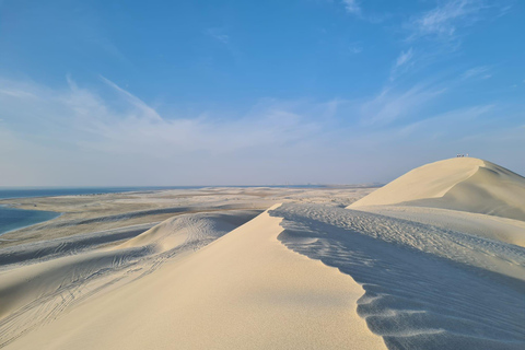 Doha: Full Day Desert Safari, BBQ Dinner, and Stargazing