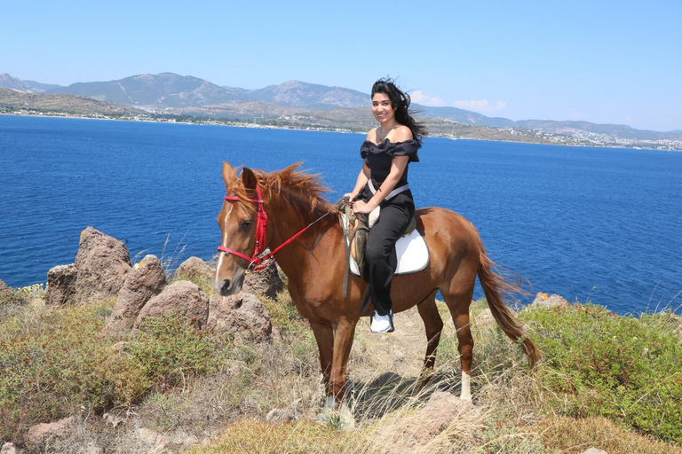 Bodrum: Horseback Riding Adventure with Hotel Pickup 2-Hour Forest & Beach Horse Riding with Transfers