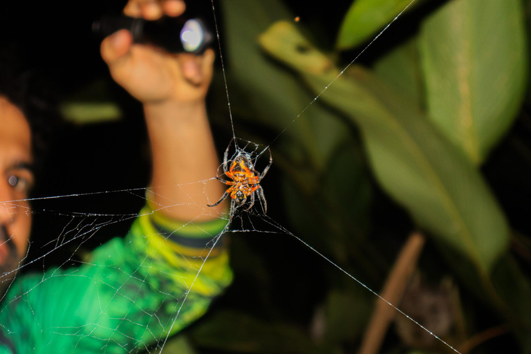 La Fortuna: Nocny spacer w La Fortuna