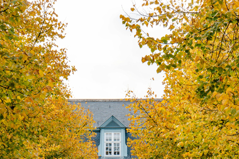 Leuven Bike Tours: Highlights & Beyond + café + bike rental The Leuven Highlights & Beyond (public tour)