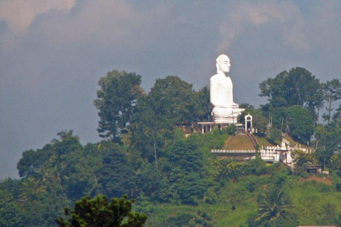 Kandy: Visita a la ciudad con todo incluido