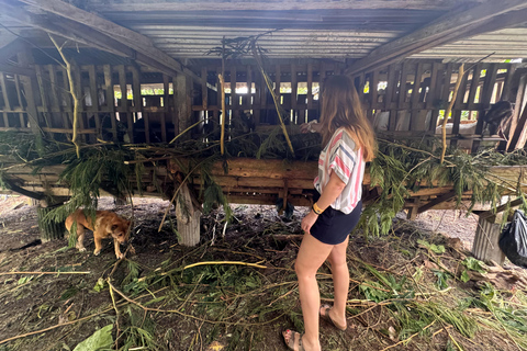 MUNDUK A Day with Local Farmers & Authentic Balinese Cooking