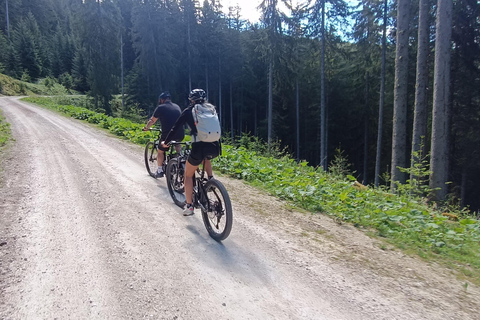 Salzkammergut: Guidad elcykeltur till de alpina betesmarkerna i Gosau och Hallstatt