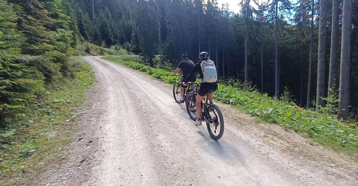 Afbeelding 2 van Salzkammergut: begeleide e-biketocht naar de alpenweiden in Gosau en Hallstatt