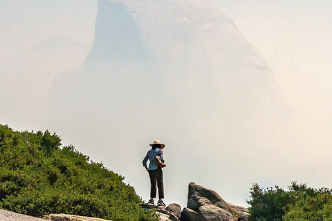 Depuis San Francisco : Excursion d'une journée au parc national de Yosemite