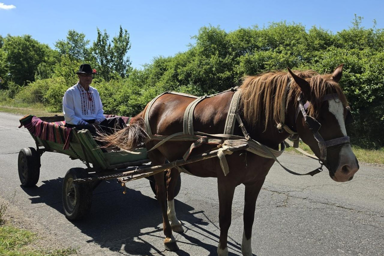 Experience Moldova Like a Local – Personalized Day Tour