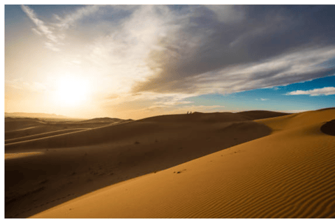 Doha: Safari nel deserto con giro in cammello e sand boarding