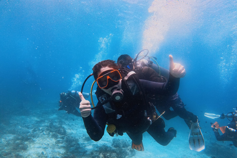 Cebu: Discover Scuba Diving Experience with Hotel Pickup
