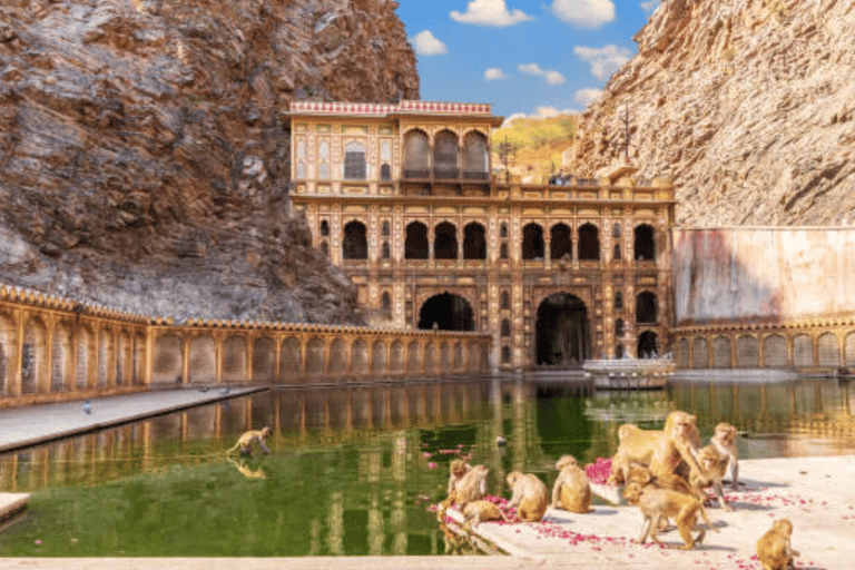 Jaipur: Privat sightseeingtur med aptemplet (Galtaji)