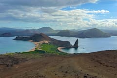 Dolphin & whale watching | Seymour things to do in Galapagos