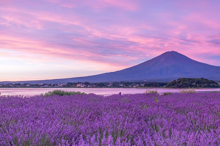 Tokyo: Mount Fuji Instagram Highlights Day Trip (6 Views) 08:00 | Meet at Shinjuku West Exit, SMBC
