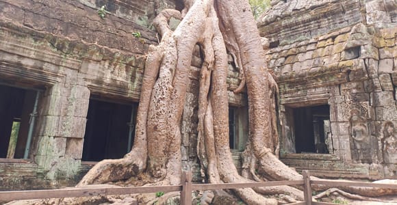 One Day Exploration to Angkor Wat, Angkor Thom & Ta Prohm