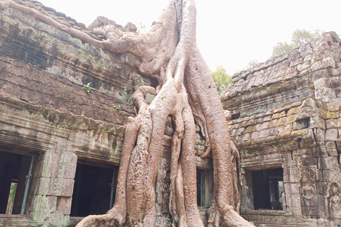 Lever de soleil à Angkor Wat avec un groupe de partage