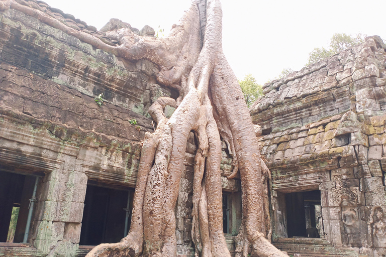 Siem Reap: 4 Stunden-Ta Prohm und Banteay Kdei Guided Tour