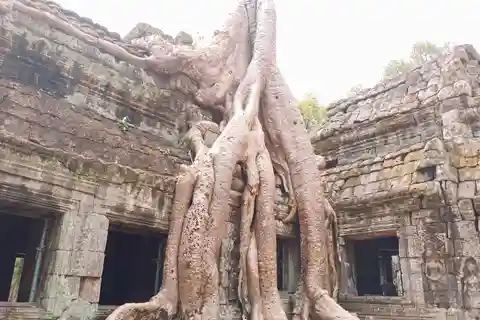 Siem Reap: Excursão guiada de 4 horas a Ta Prohm e Banteay Kdei