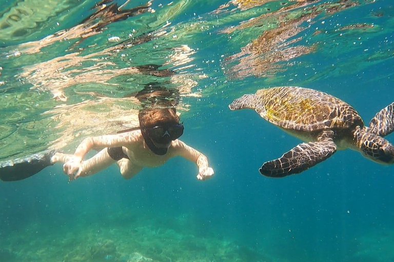 Un día en Ilha Grande Snorkel con tortugas PrivadoUn día en Ilha Grande Snorkel con tortugas