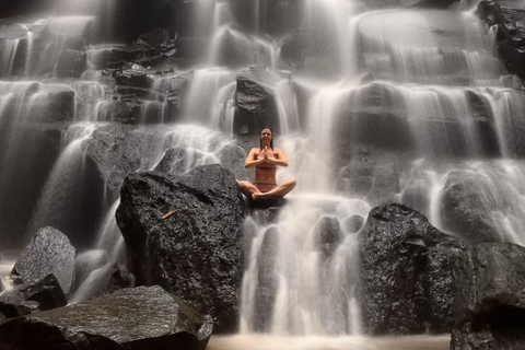 Discover Awesome Hidden Gems waterfalls Tour in Ubud Private Group with English Speaking Guide Tour