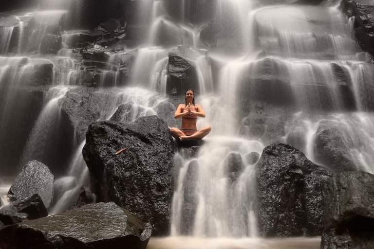 Discover Awesome Hidden Gems waterfalls Tour in Ubud Private Group with English Speaking Guide Tour