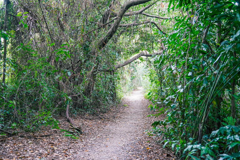Bangkok Green Oasis Nature Bike Tour