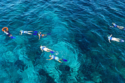 Isla Mujeres: Catamaran met open bar, snorkelen en lunchRondleiding met open bar