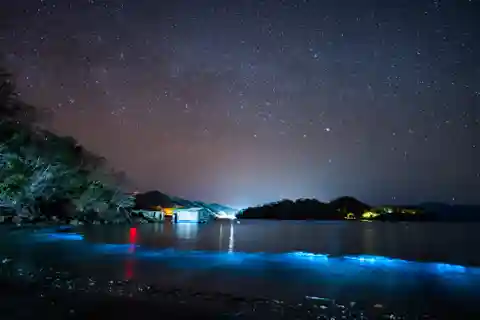 Bioluminescens-tur; motorbåt, camping (från Puntarenas)