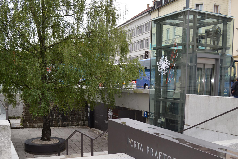 Ljubljana: Stadsrondleiding esperienza tempo/storia.