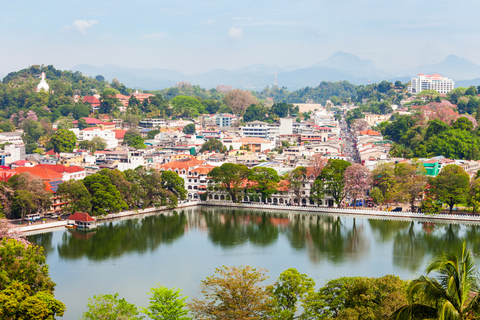 3-Day Private Tour: Sigiriya, Dambulla, Ella With Train Tour