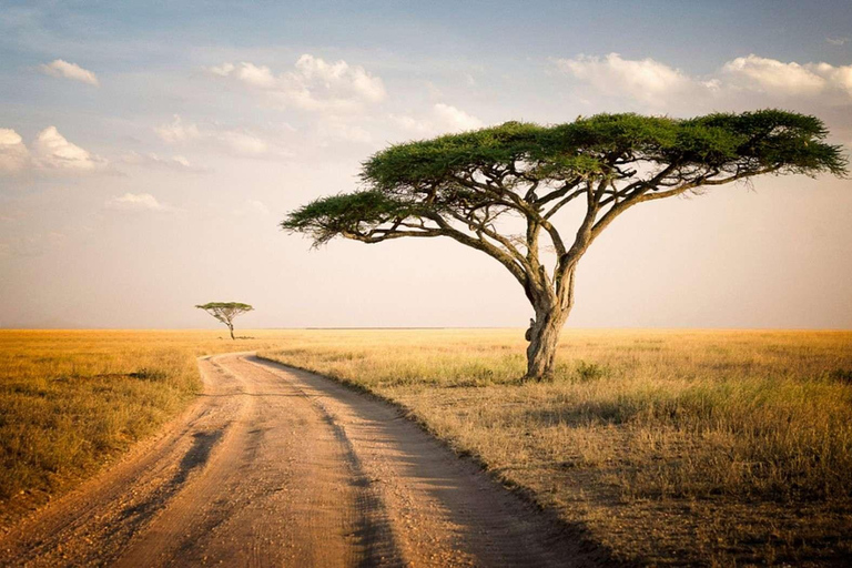 Serengeti National Park: 2-Day Safari with Accommodation