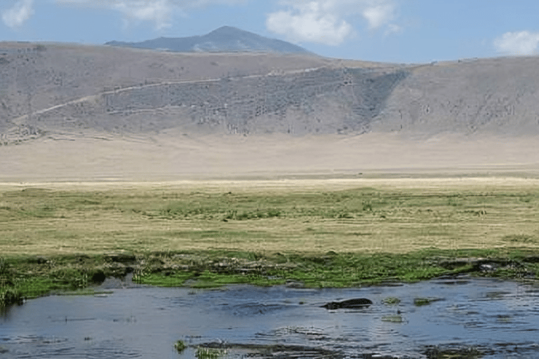 Arusha: Ngorongoro Crater Day Trip with Lunch