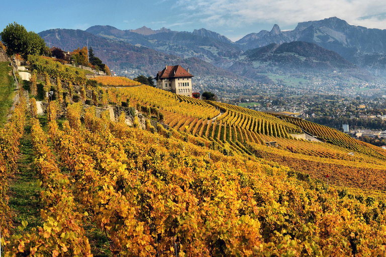 Private Tagestour: Lausanne nach Vevey, Montreux &amp; Schloss Aigle