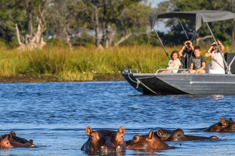Chobe Full-Day Experience With Airport Pickups & Transfers