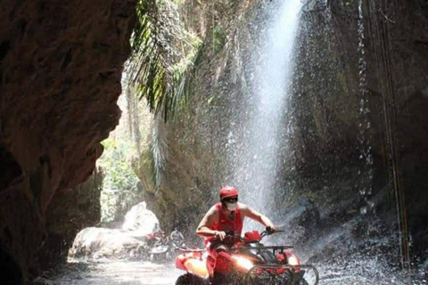 Ubud :Waterfalls, Water Temple & Rice Terrace – Private Tour Ubud: Waterfalls, Rice Terrace water Temple all included