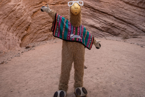 Cafayate: Tour de dia completo por bodegas y degustacion de vinos