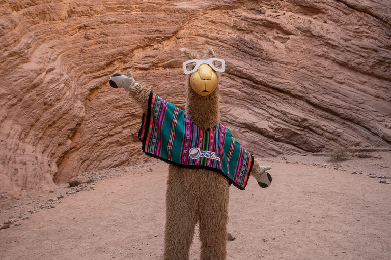 Cafayate: Tour de dia completo por bodegas y degustacion de vinos