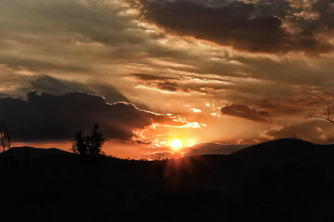 Safari de 4 días en tienda de campaña en Pilanesberg TlouSafari de 4 días en tienda de campaña por Pilanesberg Tlou