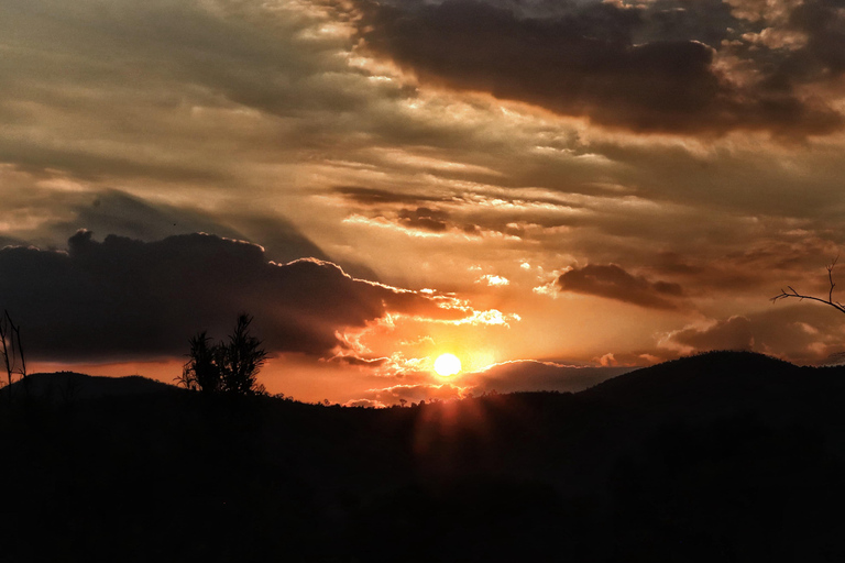 Safari de 4 días en tienda de campaña en Pilanesberg TlouSafari de 4 días en tienda de campaña por Pilanesberg Tlou