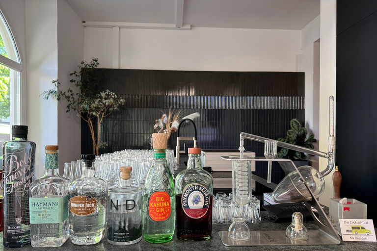 Dresden: Gin and Gin & Tonic Tasting with Guided Sampling