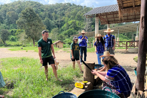 Chiang Mai : Nouvelle maison des éléphants Programme de soins aux éléphantsAvec transfert depuis la ville de Chiang Mai