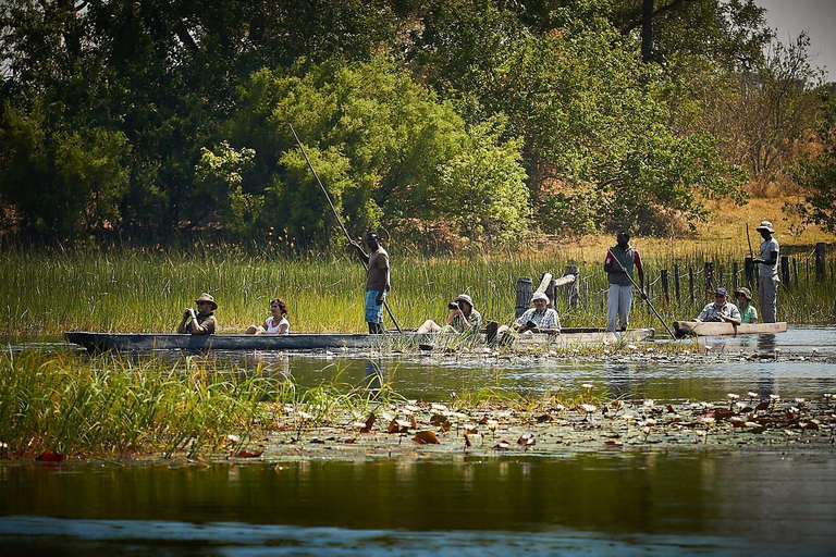 Okavango Delta: Mokoro Day Tour with Bush Walk