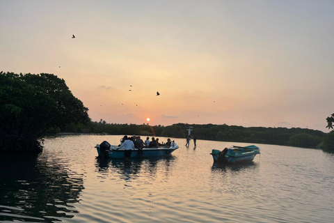 From Negombo: Boat Tour of Negombo Lagoon