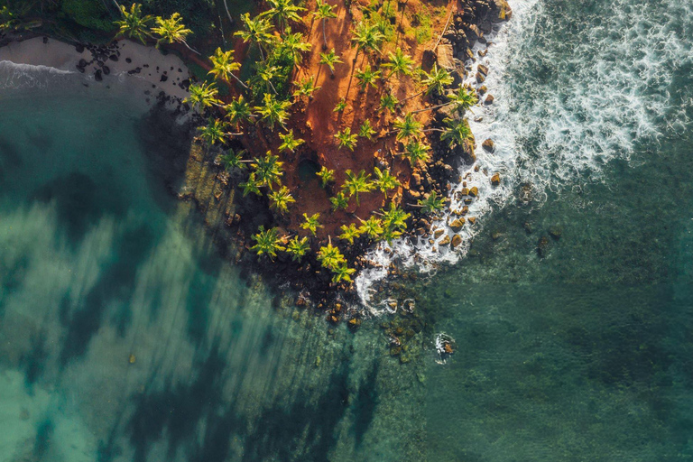 Coastal Crown: Galle to Mirissa Coconut Tree Hill Tour