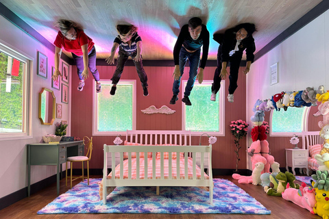 Liverpool: Upside Down House Entry Ticket