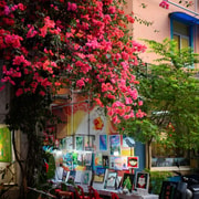 絵画と探索：深センダフェン油彩村3時間ツアー | GetYourGuide