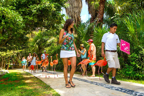 Dalla Riviera Maya: Xcaret Park All Inclusive