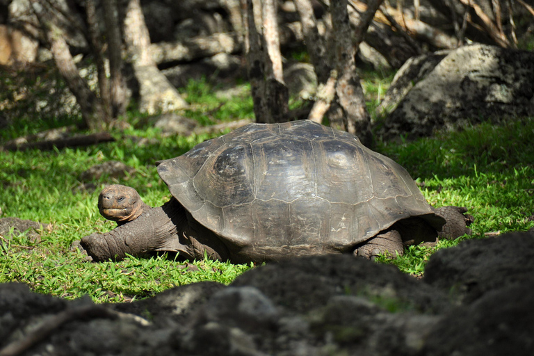 Zanzibar Private Prison Island Tour Come to the meeting point (Tour without pick up & drop off)