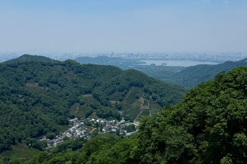 Hangzhou: Hike from Longjing Tea Village to Nine Creeks Group Tour