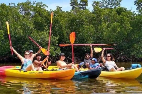 Passeio de caiaque de 3 horas pela floresta de mangue