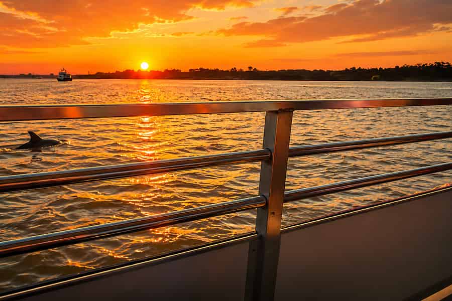 Savannah: Delfinbeobachtungstour bei Sonnenuntergang mit dem Boot. Foto: GetYourGuide Savannah: Delfinbeobachtungstour bei Sonnenuntergang mit dem Boot. Foto: GetYourGuide